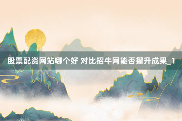 股票配资网站哪个好 对比招牛网能否擢升成果_1